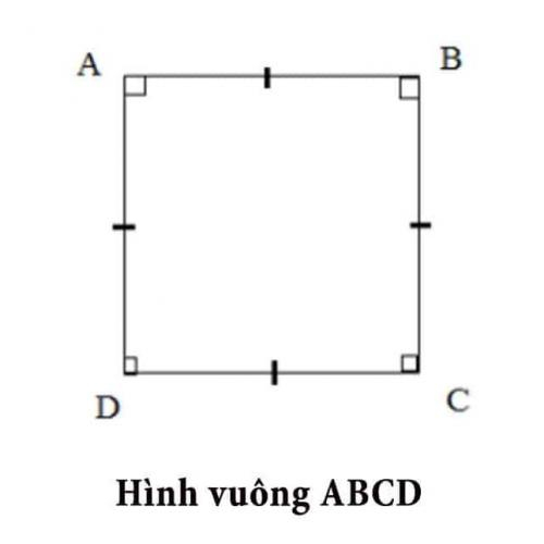 (Giáo dục phổ thông) [Toán 3] Chu vi hình vuông